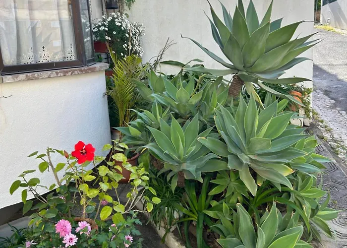 Bela Vista Cascais شقة *
